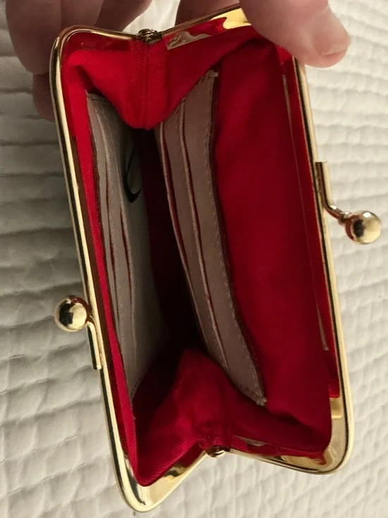 Dooney & Bourke Large Frame Purse - Picture 3 of 8